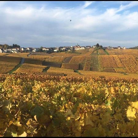 Gite En Champagne Le Sarment Cramant Ngoại thất bức ảnh