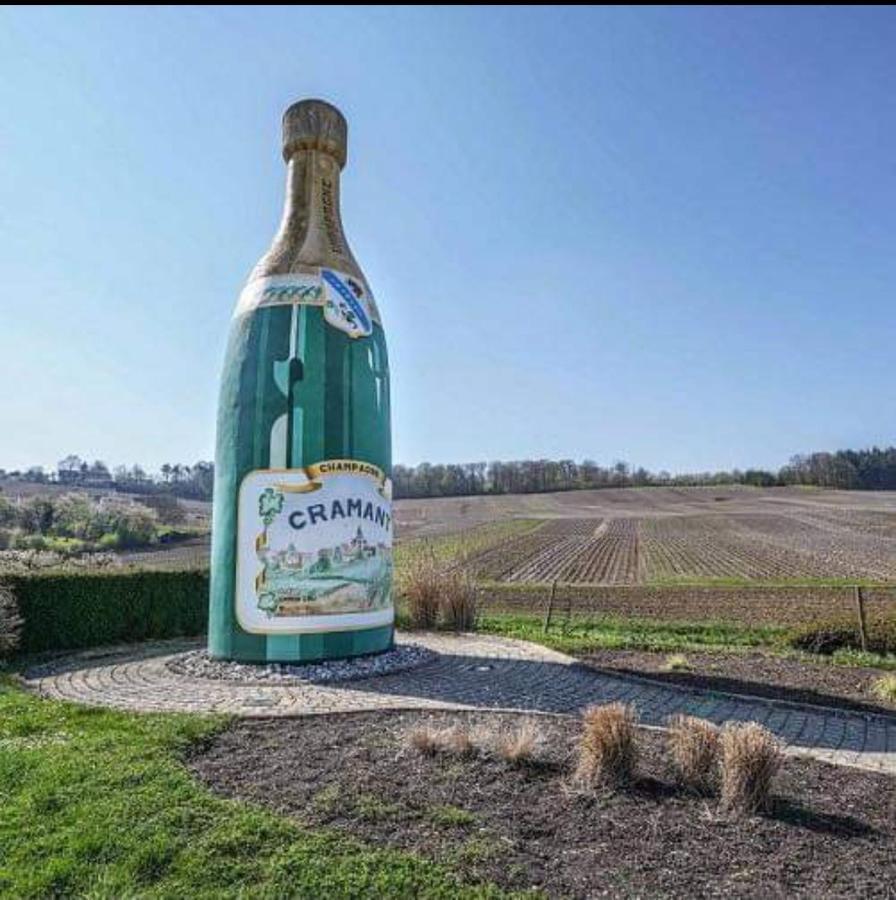 Gite En Champagne Le Sarment Cramant Ngoại thất bức ảnh