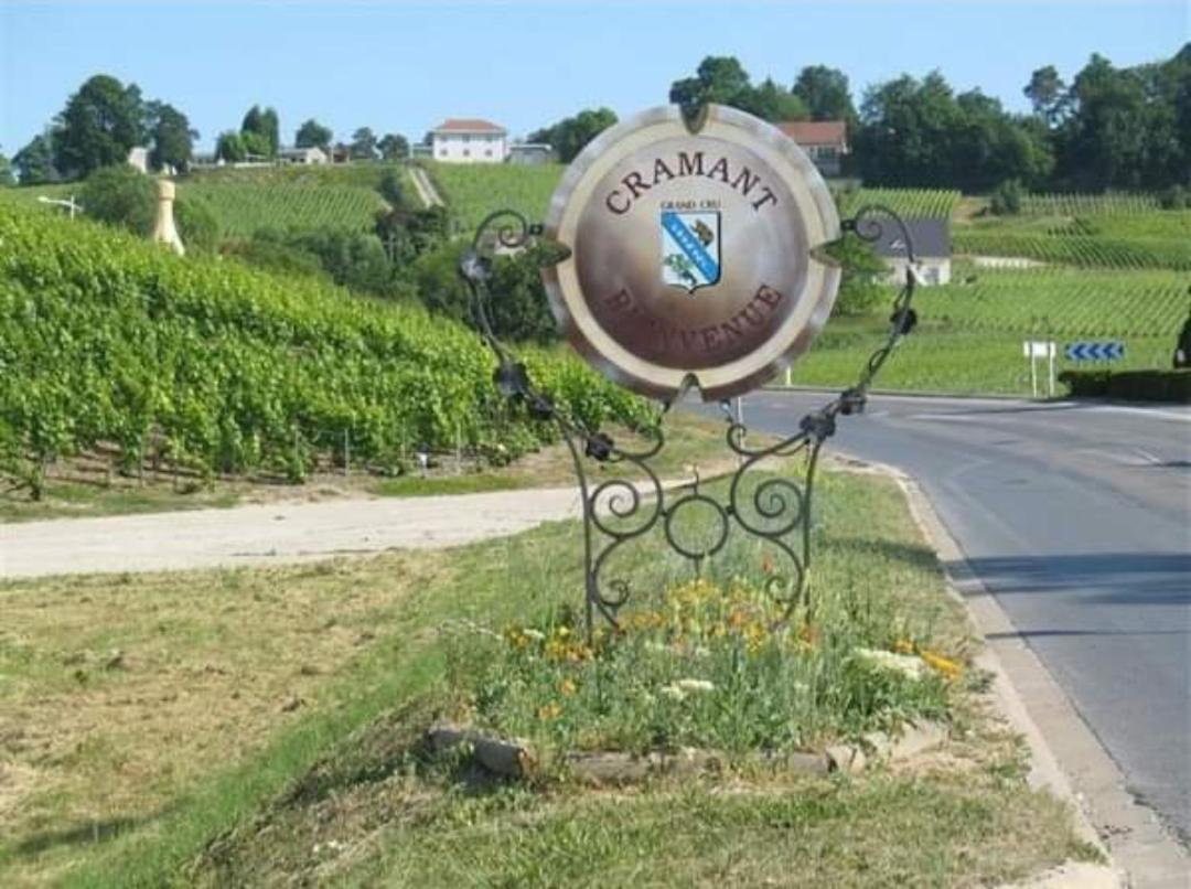 Gite En Champagne Le Sarment Cramant Ngoại thất bức ảnh