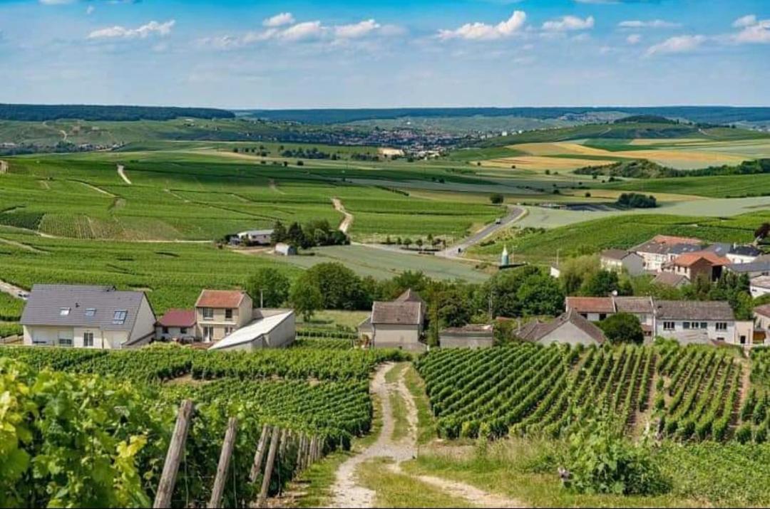 Gite En Champagne Le Sarment Cramant Ngoại thất bức ảnh